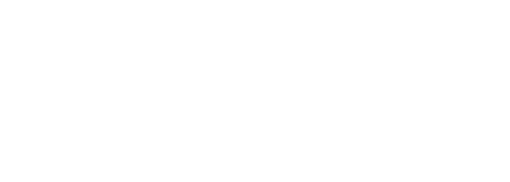 ENZO CAR